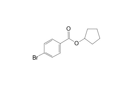 4-Bromobenzoic acid, cyclopentyl ester