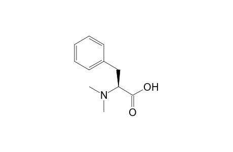 N,N-Dimethyl-L-phenylalanine