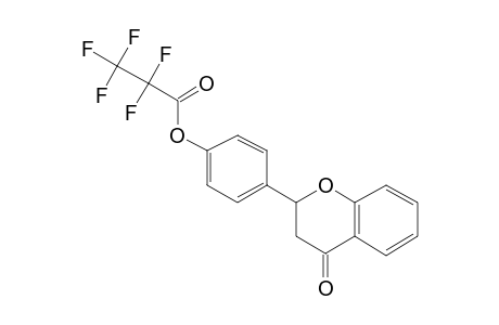 4'-Hydroxyflavanone, pentafluoropropionate