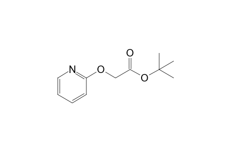 2-(2-pyridinyloxy)acetic acid tert-butyl ester