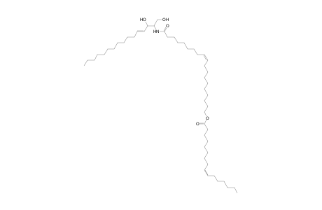 Cer 16:1;2O/19:1;O(FA 16:1)