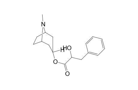 Littorine hyoscyamine