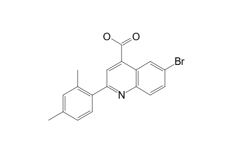 6-bromo-2-(2,4-xylyl)cinchoninic acid