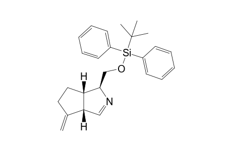 (+)-(1S,3aS,6aS)-1-{[(tert-Butyldiphenylsilyl)oxy]methyl}-4-methylene-1,3a,4,5,6,6a-hexahydrocyclopenta[c]pyrrole