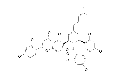 SANGGENON-G