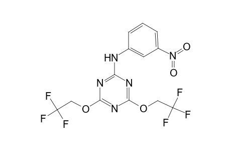 N-(3-nitrophenyl)-4,6-bis(2,2,2-trifluoroethoxy)-1,3,5-triazin-2-amine