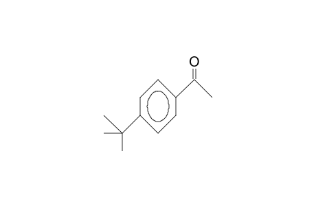 4'-tert-Butyl-acetophenone