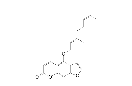 Bergamottin