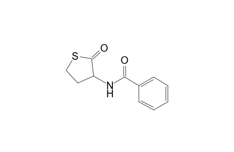 Benzamide, N-(tetrahydro-2-oxo-3-thienyl)-