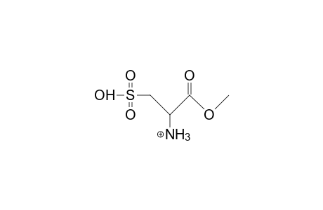 Cysteine-sulfonic acid, methyl ester cation