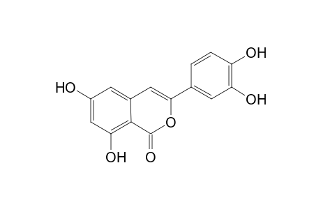Thunberginol B [3-(3,4-dihydroxyphnyl)-6,8-dihydroxyisocoumarin]