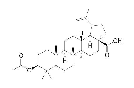 3-(acetyloxy)lup-20(29)-en-28-oic acid