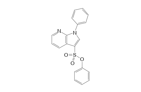 Phenyl 1-phenyl-1H-pyrrolo[2,3-b]pyridine-3-sulfonate