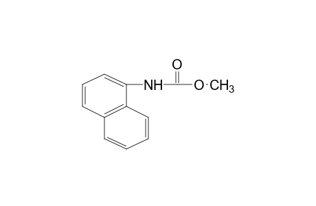 1-naphthalenecarbamic acid, methyl ester