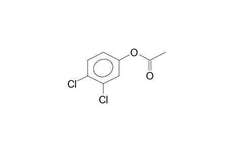 Phenol, 3,4-dichloro-, acetate