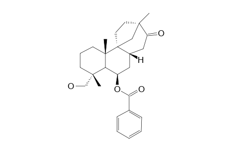 SCOPADULCIOL