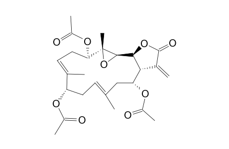 CRASSOLIDE