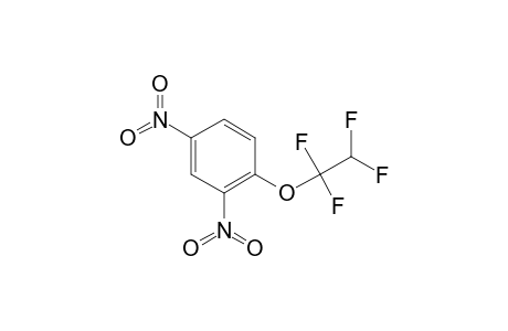 2,4-Dinitro-1-(1,1,2,2-tetrafluoroethoxy)benzene