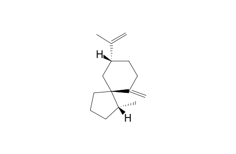 SPIROLEPECHINENE;(-)-(1R,5S,9R)-1-METHYL-6-METHYLENE-9-(1-METHYLENE)-SPIRO-[4.5]-DECANE