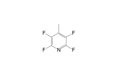 2,3,5,6-Tetrafluoro-4-methylpyridine