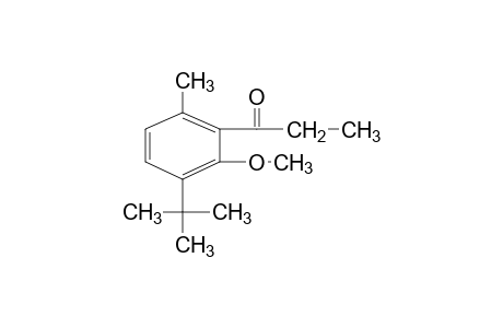 3'-tert-butyl-2'-methoxy-6'-methylpropiophenone