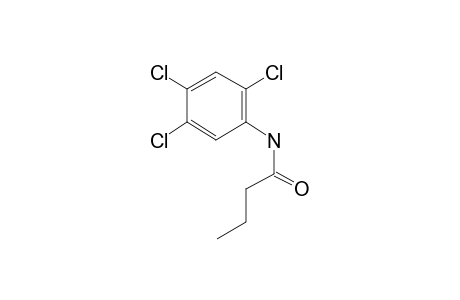 Butanamide, N-(2,4,5-trichlorophenyl)-