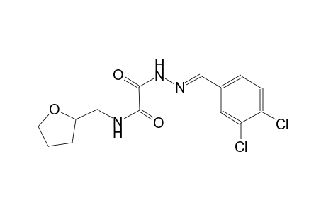 2-[(2E)-2-(3,4-dichlorobenzylidene)hydrazino]-2-oxo-N-(tetrahydro-2-furanylmethyl)acetamide