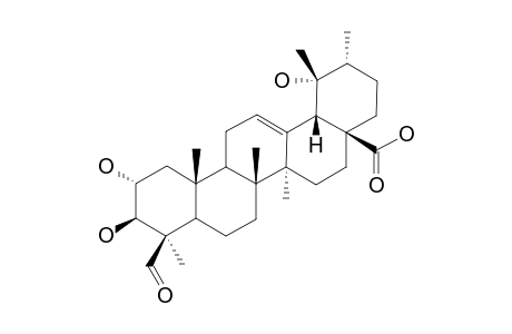 24-EPI-PINFAENSIC-ACID;2-ALPHA,3-BETA,19-ALPHA-TRIHYDROXY-24-OXO-URS-12-EN-28-OIC-ACID;