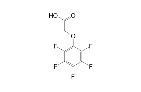 2,3,4,5,6-Pentafluorophenoxyacetic acid