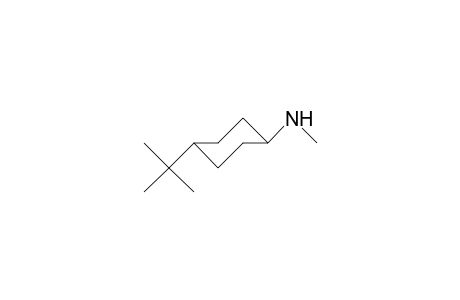 trans-4-tert-Butyl-1-methylamino-cyclohexane