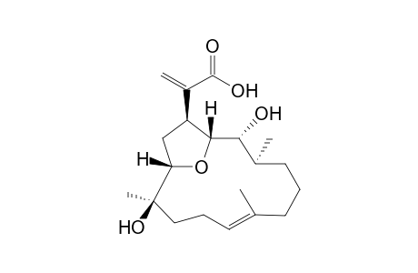 12,13-Bisepieupalmeroic acid