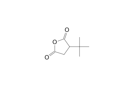 3-tert-Butyloxolane-2,5-dione