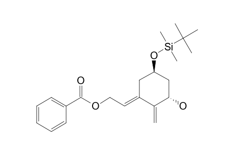 (3S)-(5R)-(E)-2-[3-(HYDROXY)-5-(TERT.-BUTYLDIMETHYLSILYLOXY)-2-METHYLENE-CYClOHEXYLIDENE]-1-BENZYLOXY-ETHANE