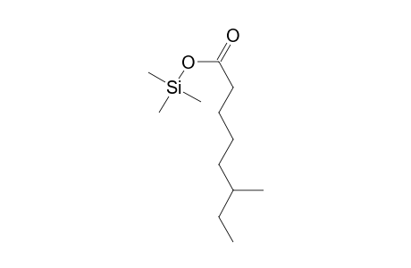 6-Methyloctanoic acid, tms