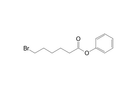 6-Bromohexanoic acid, phenyl ester