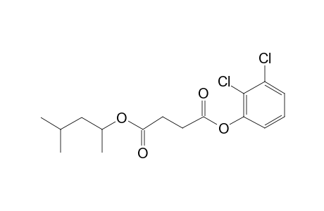 Succinic acid, 2,3-dichlorophenyl 4-methylpent-2-yl ester