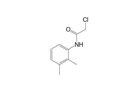 2-chloro-2',3'-acetoxylidide