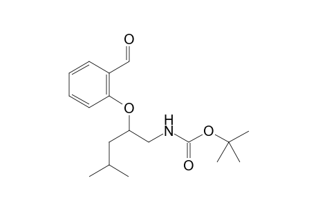 (+/-)-2-[(1-(Tert-butoxycarbonylamino)-4-methylpent-2-yl)oxy]benzaldehyde