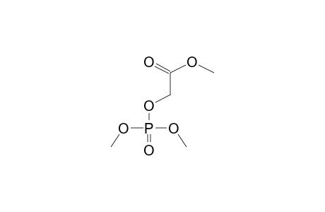 DIMETHYL(METHOXYCARBONYLMETHYL)PHOSPHATE