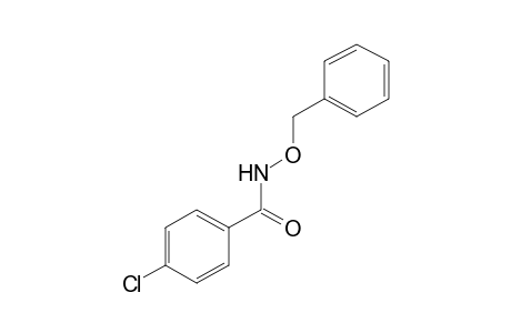 N-(benzyloxy)-p-chlorobenzamide