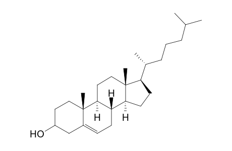 Cholesterol