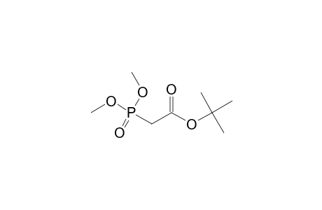 Phosphonoacetic acid, 1-tert-butyl dimethyl ester