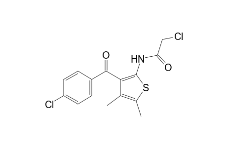 2-chloro-N-[3-(p-chlorobenzoyl)-4,5-dimethyl-2-thienyl]acetamide