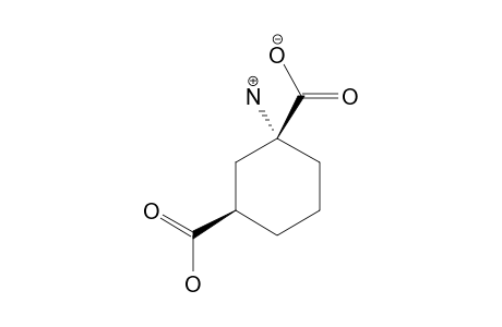 cis-C6