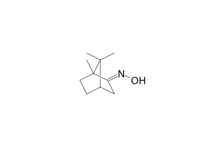 (1R)-Camphor oxime