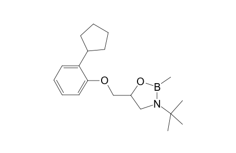 Penbutalol MBA