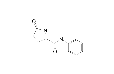 2-Pyrrolidinecarboxamide, 5-oxo-N-phenyl-