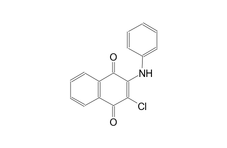 2-anilino-3-chloro-1,4-naphthoquinone