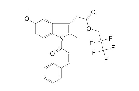 Cinmetacin, 2,2,3,3,3-pentafluoropropyl ester