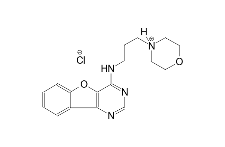 4-[3-([1]benzofuro[3,2-d]pyrimidin-4-ylamino)propyl]morpholin-4-ium chloride